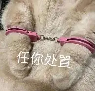  今晚法网前瞻：肖若腾伤情更新，莱比锡冲击连胜纪录